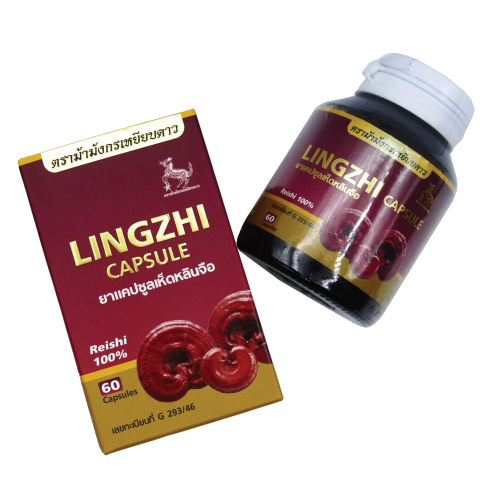 เห็ดหลินจือ 