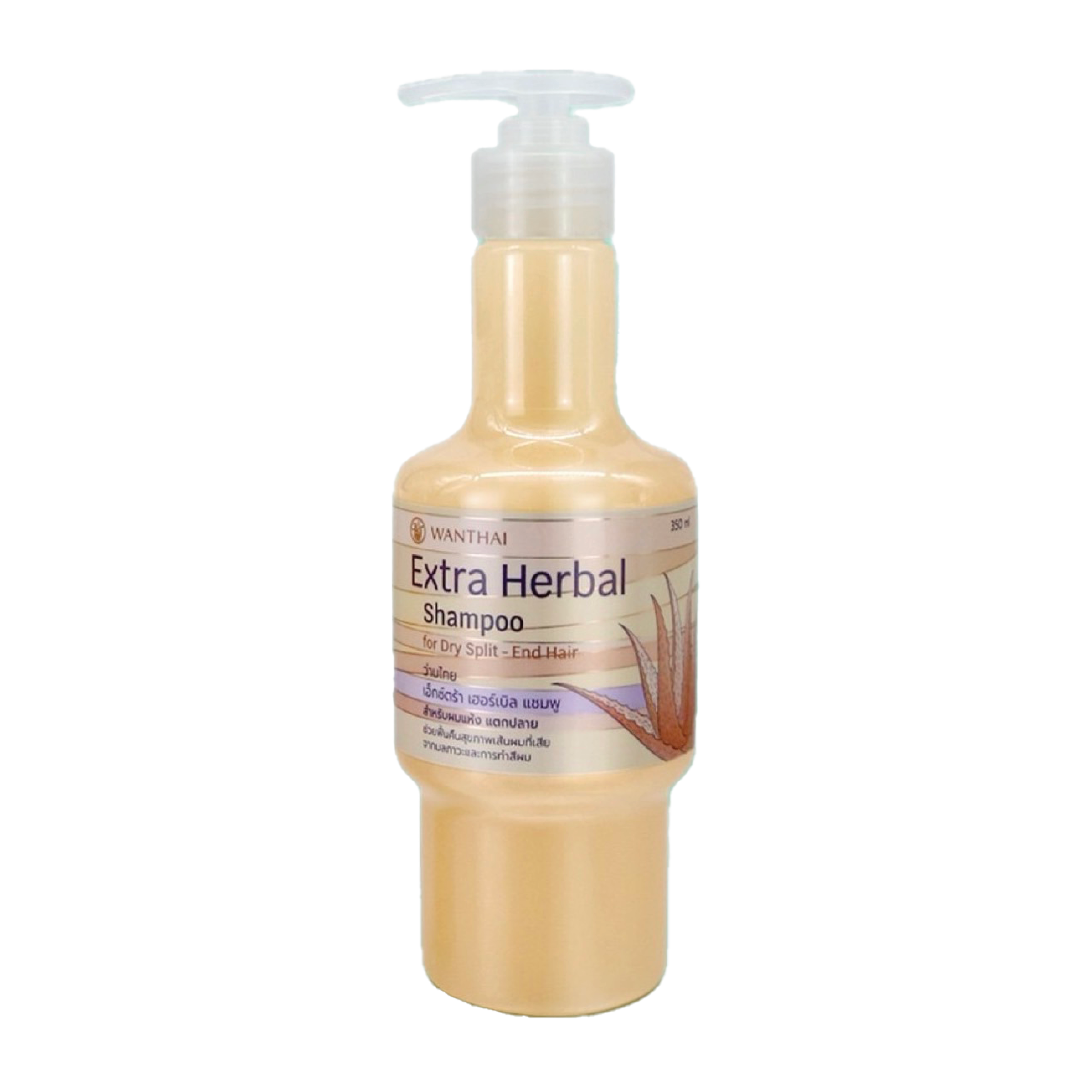 แชมพูสมุนไพร ว่านหางจระเข้ ผมแห้ง แตกปลาย