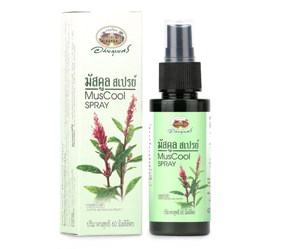 มัสคูล สเปรย์ ใบกระดูกไก่ดำ