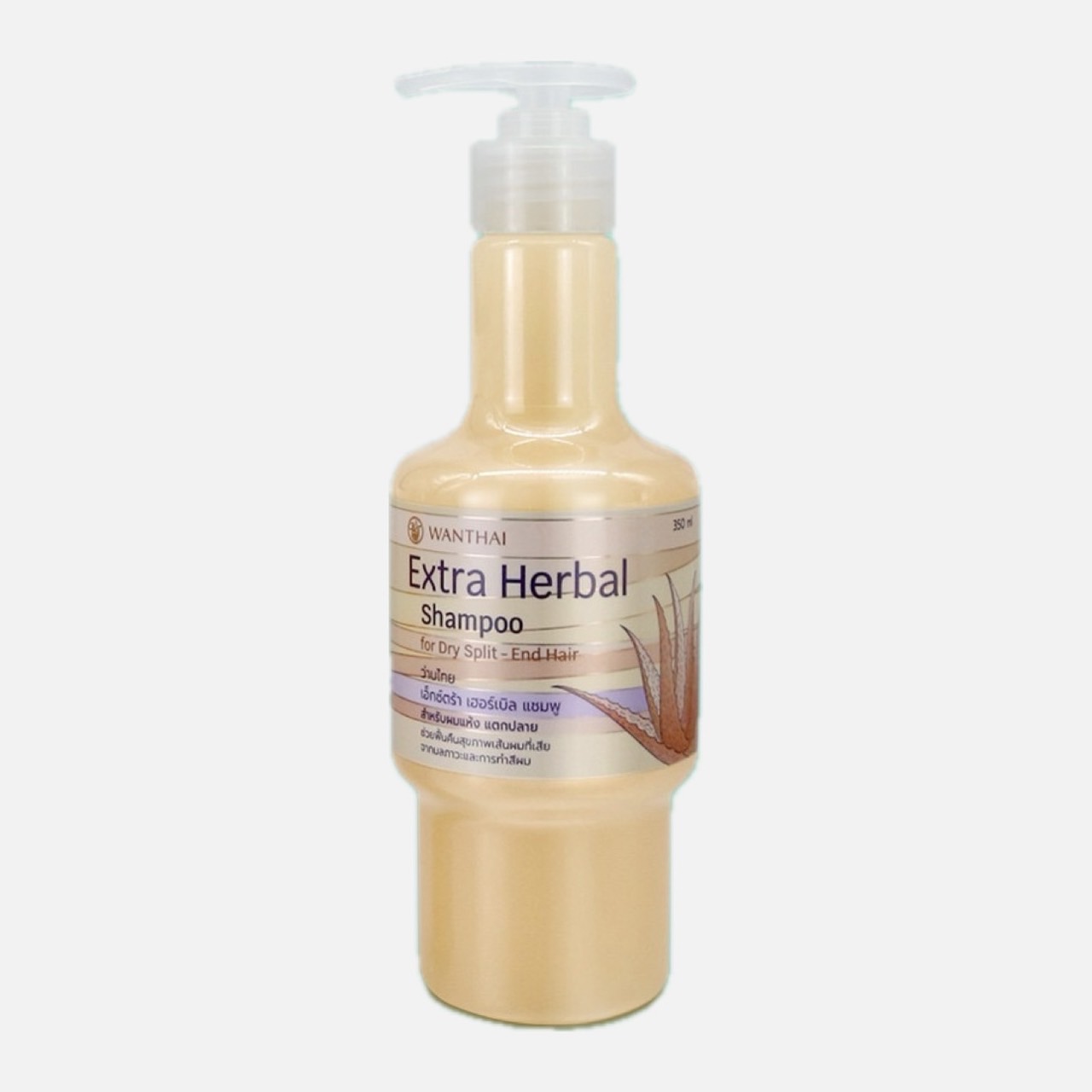 แชมพูสมุนไพร ว่านหางจระเข้ ผมแห้ง แตกปลาย