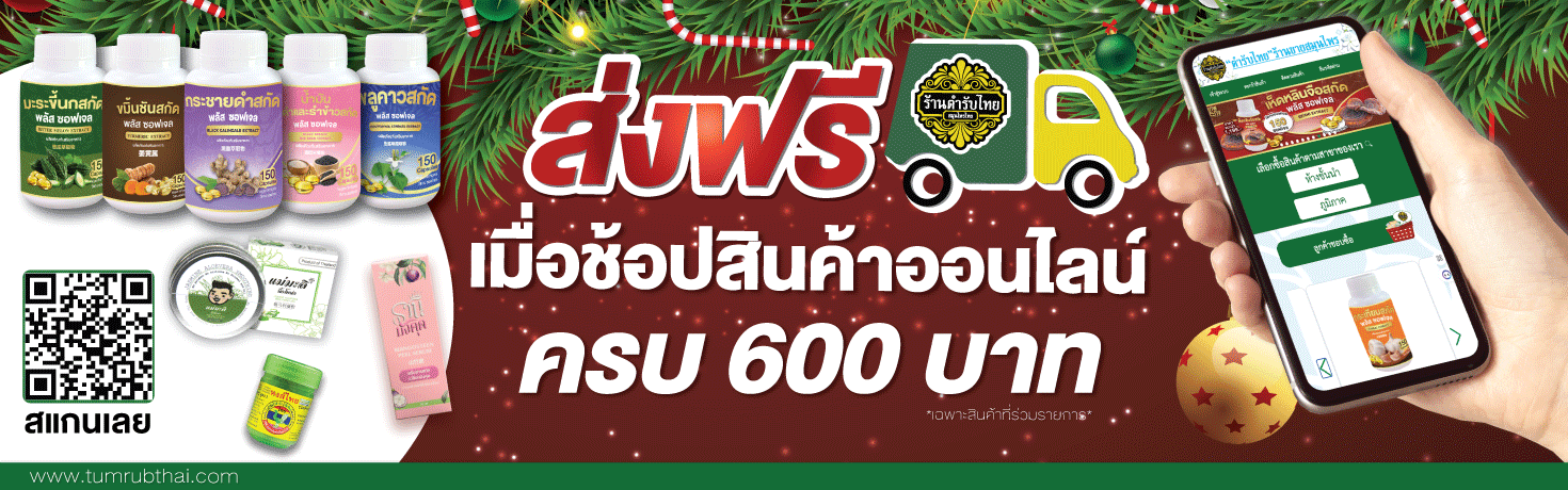 ภาพสไลด์ธีมคริสมาส